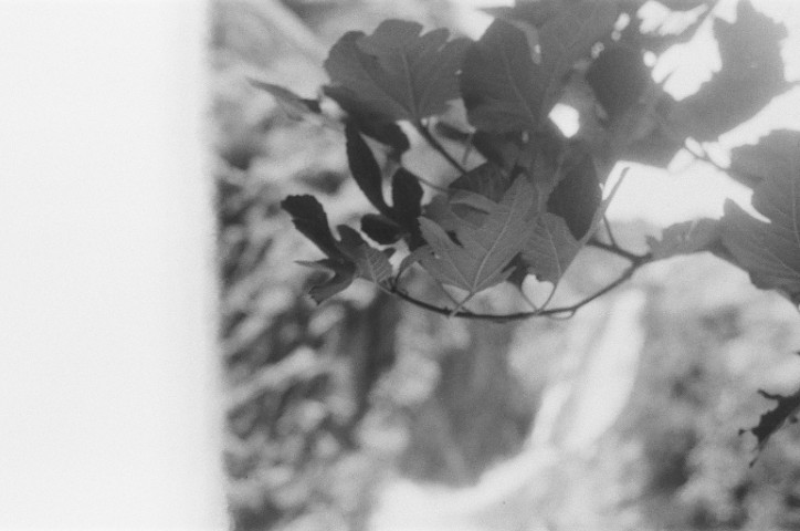 Photography 18