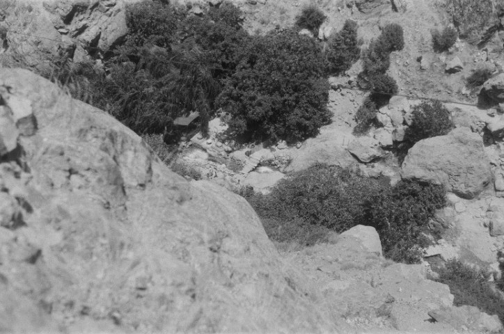 Photography 27