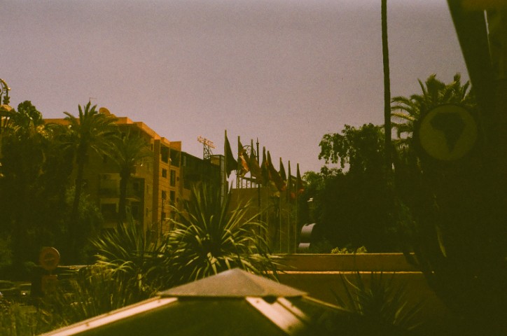 Jardin Majorelle detail
