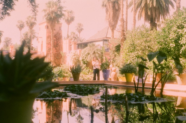 Jardin Majorelle detail