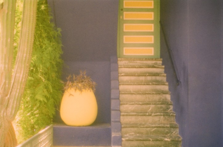Jardin Majorelle detail