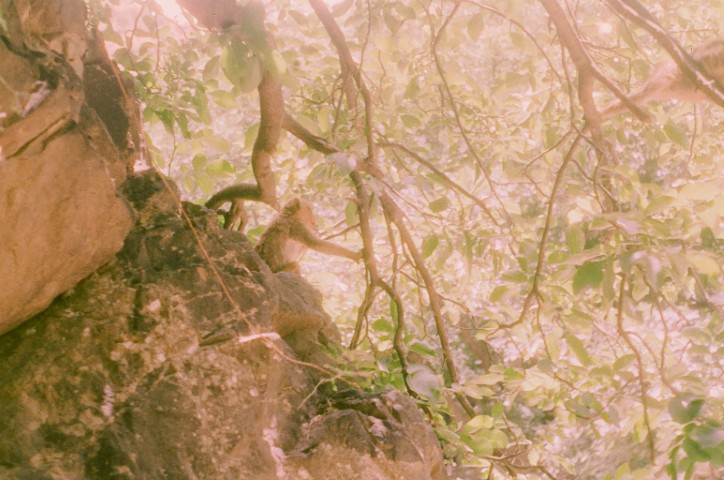 Photography 14