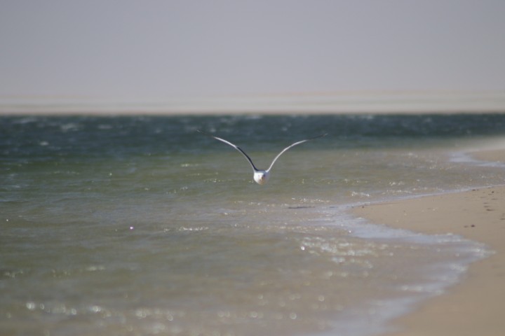 Photography 2