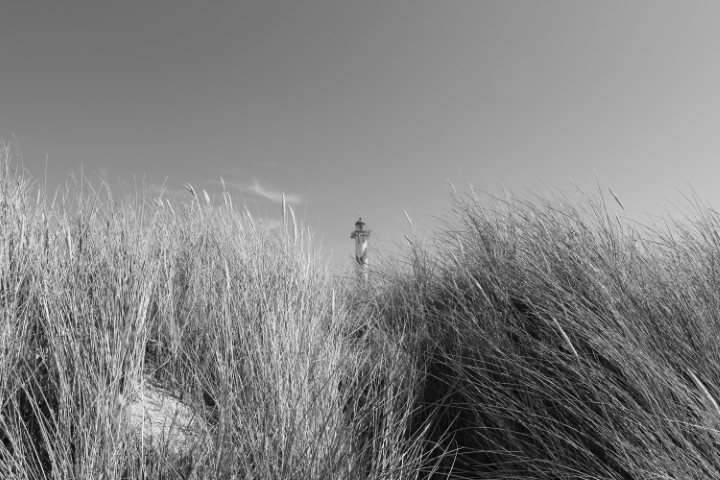 Photography 9