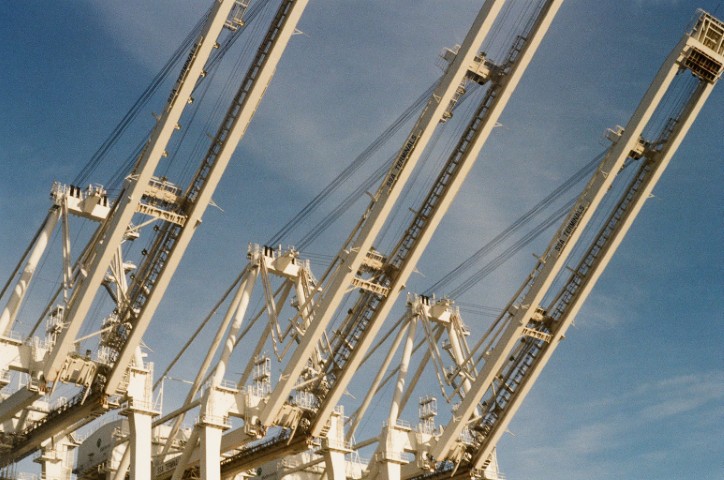 Photography 16