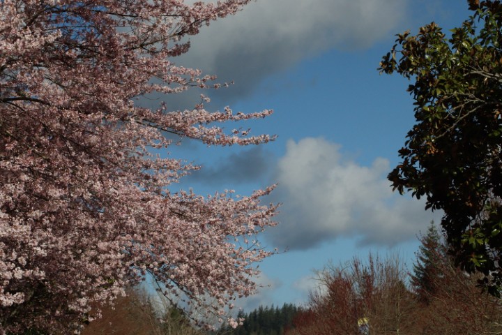 Photography 29