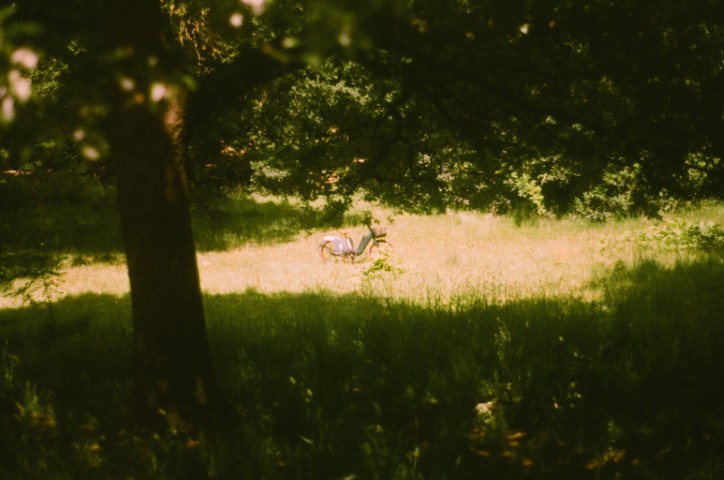 Photography 48