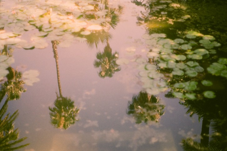 Photography 60